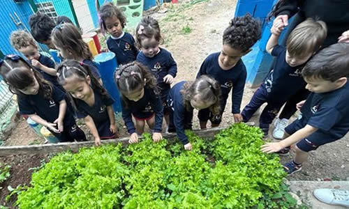 Do Plantio à Colheita: Como a Horta Escolar Transforma o Aprendizado das Crianças